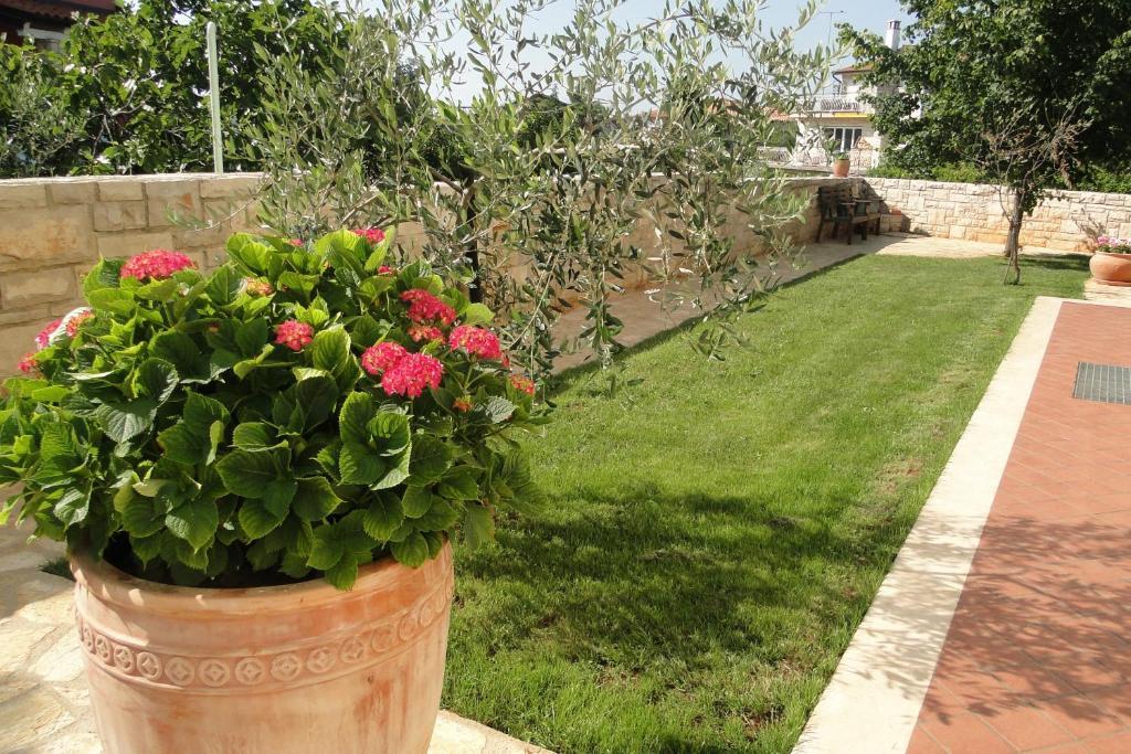 Apartments Villa Ela Umag Buitenkant foto